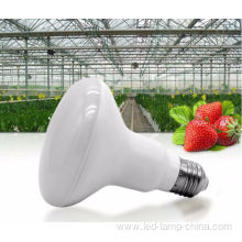 Mushroom Lamp 12w LED Grow Light
